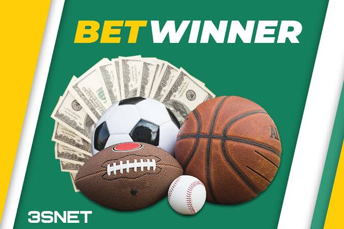 Discover the Thrills of BetWinner Sportsbook A Comprehensive Guide